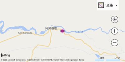 阿劳奎塔机场